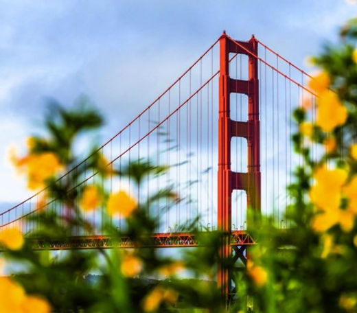 544a41_73c2c8c40f94401998098efdb23bcc30